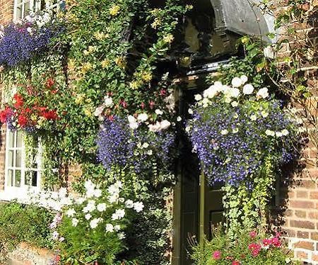 The Alvanley Arms - Inn Cotebrook Exterior photo